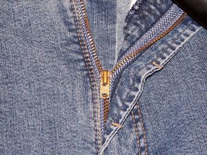 Yeah, my zipper is down, but why are you looking at it? (image via wikimedia)